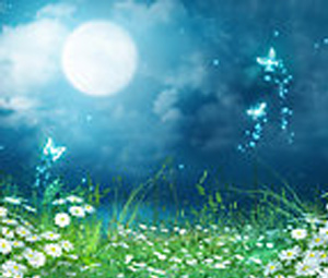 工業遮味劑-溶劑型